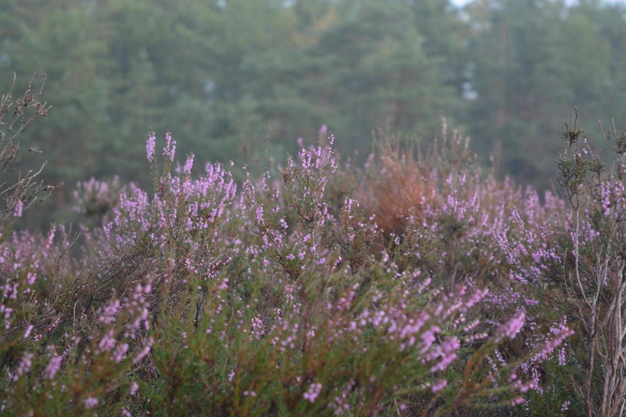 B&B De Loenense Bossen Exterior photo